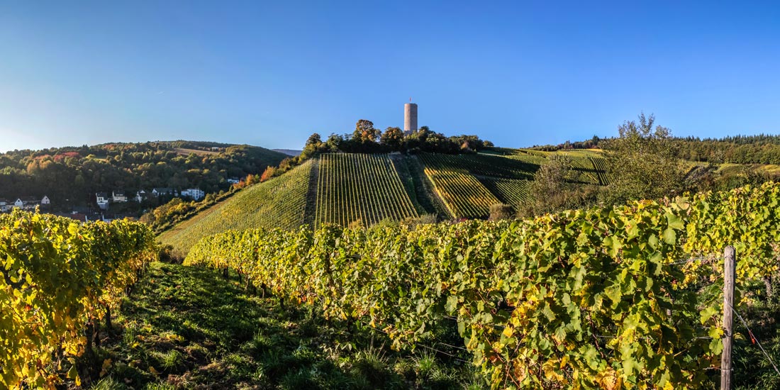 VDP 2016 Rheingau