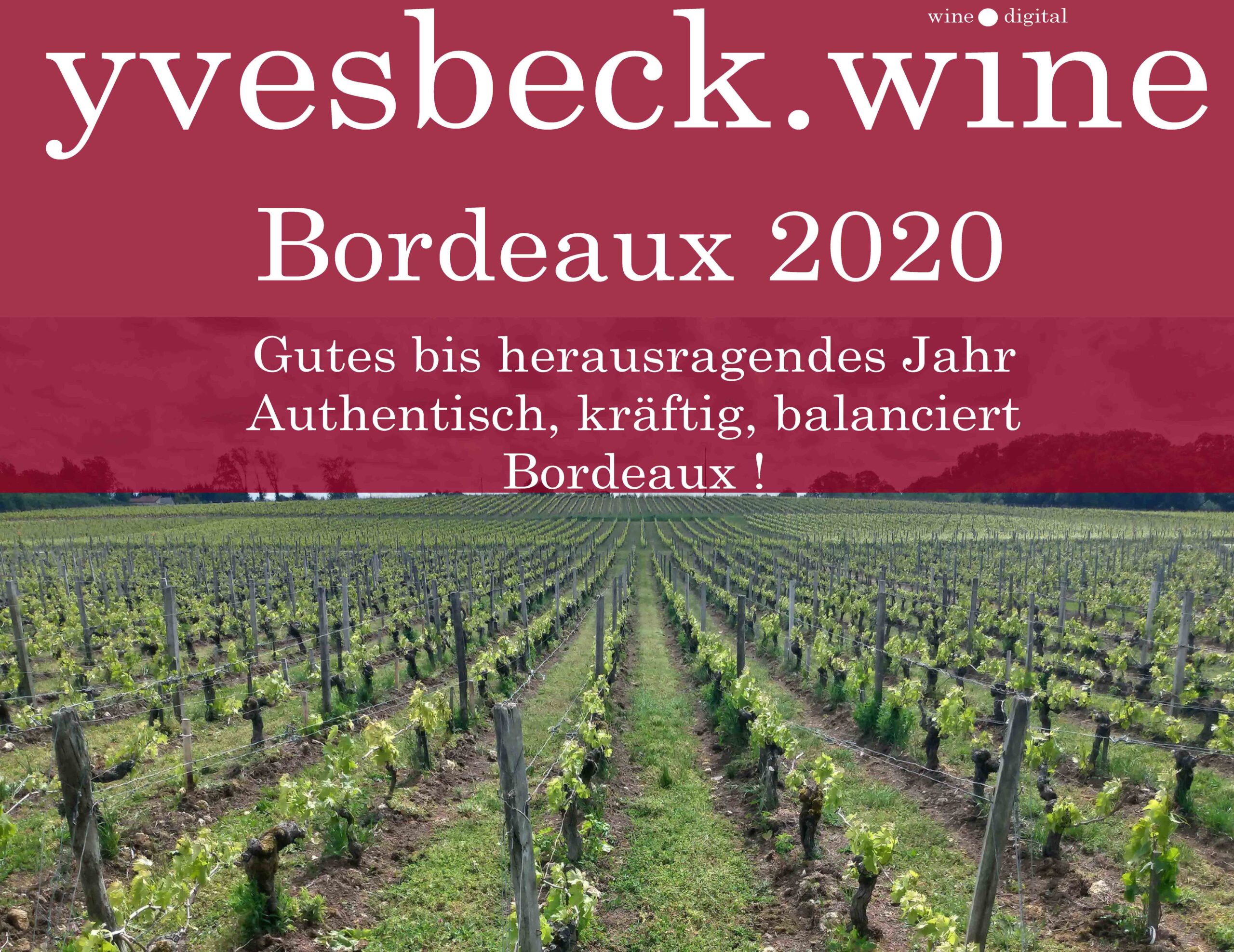 Primeurs Bordeaux 2020 - Yves Beck