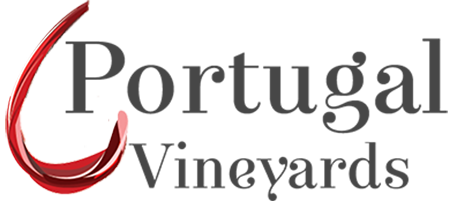 Portugal Vineyards vin - yves beck