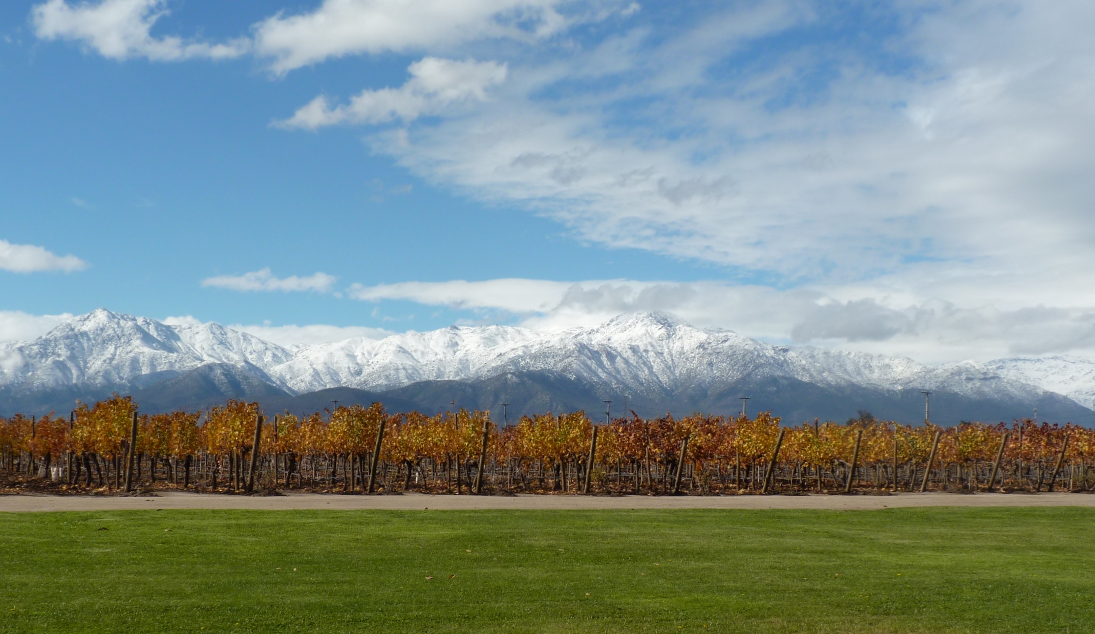 Almaviva - Viña y Cordillera nevada