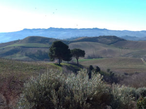 Vignes, monts et vaux - La Sicile