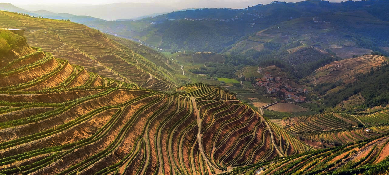 vins-du-portugal-douro-yvesbeckwine