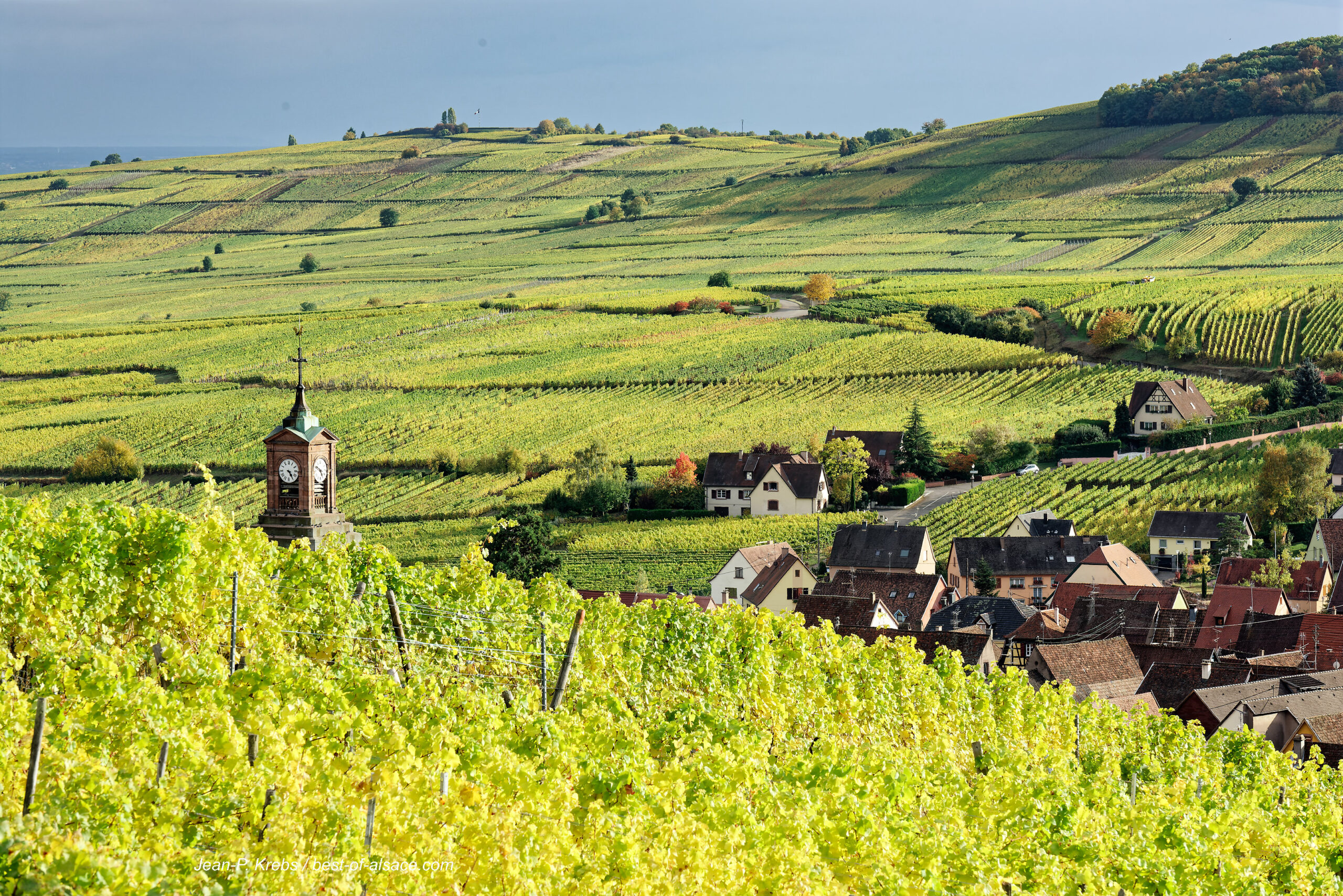 Spécial Alsace 2022 - yvesbeck.wine