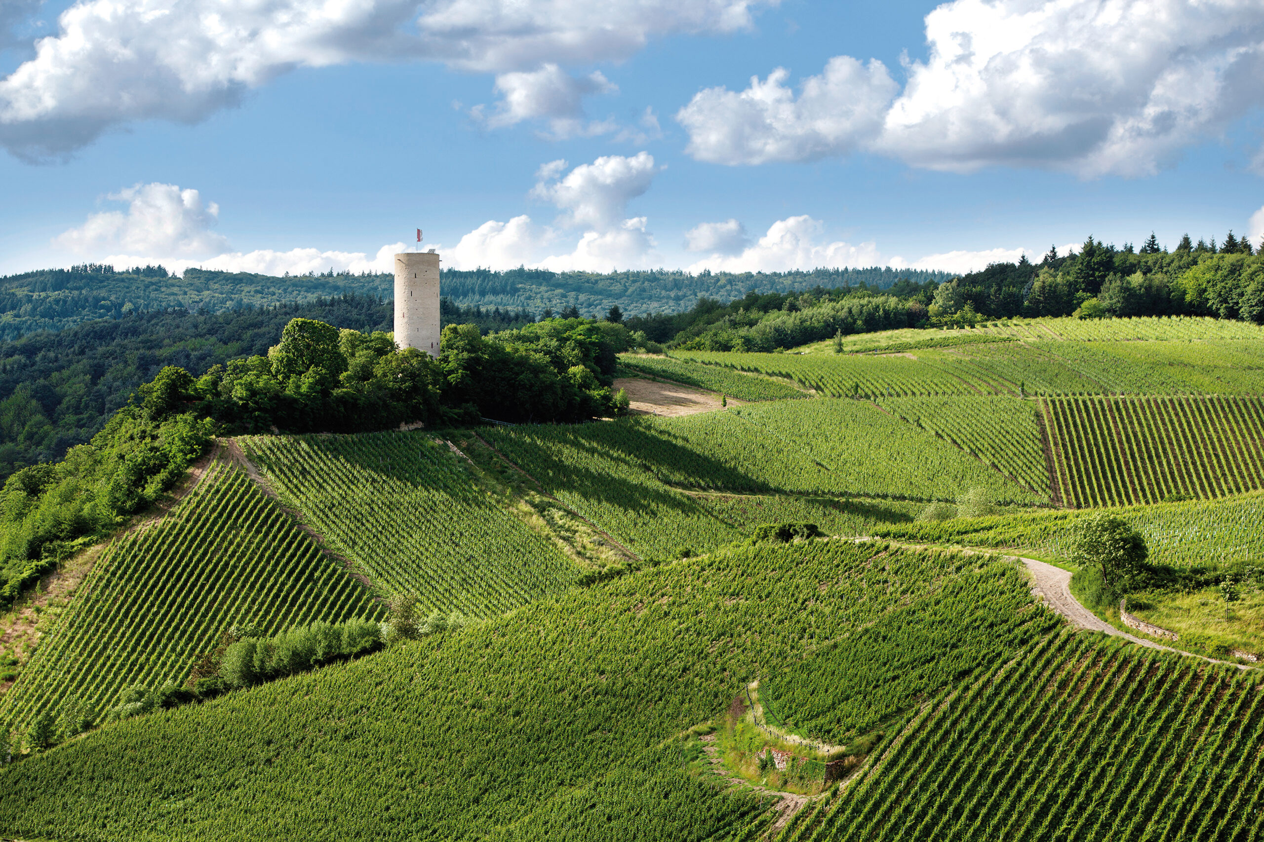 Weingut Robert Weil - Turmberg