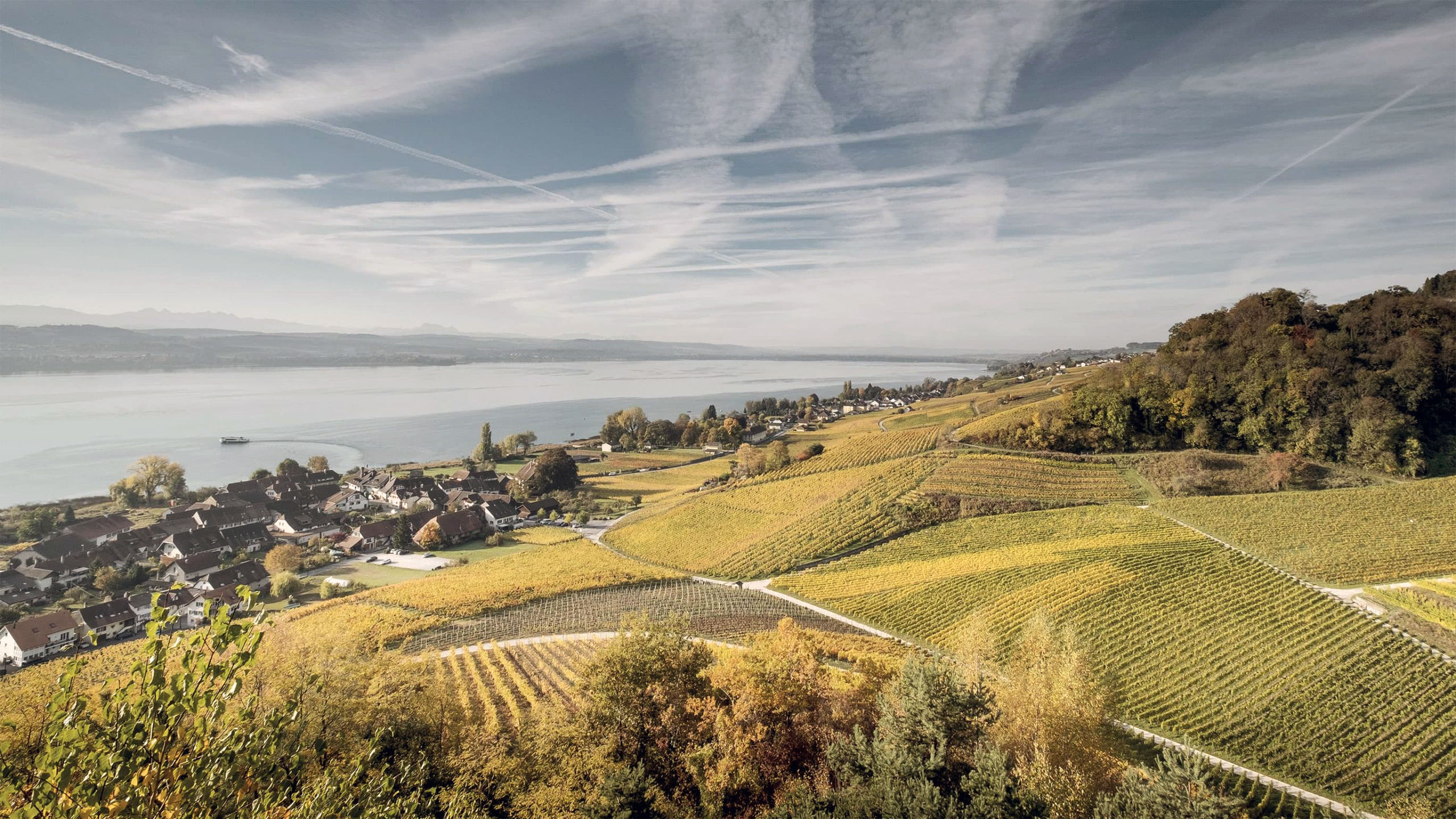 Petit Château Vully Famille Simonet - yvesbeck.wine © RawKing