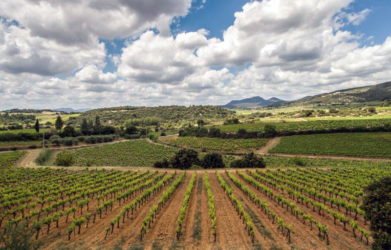 Mas des Quernes - Montpeyroux