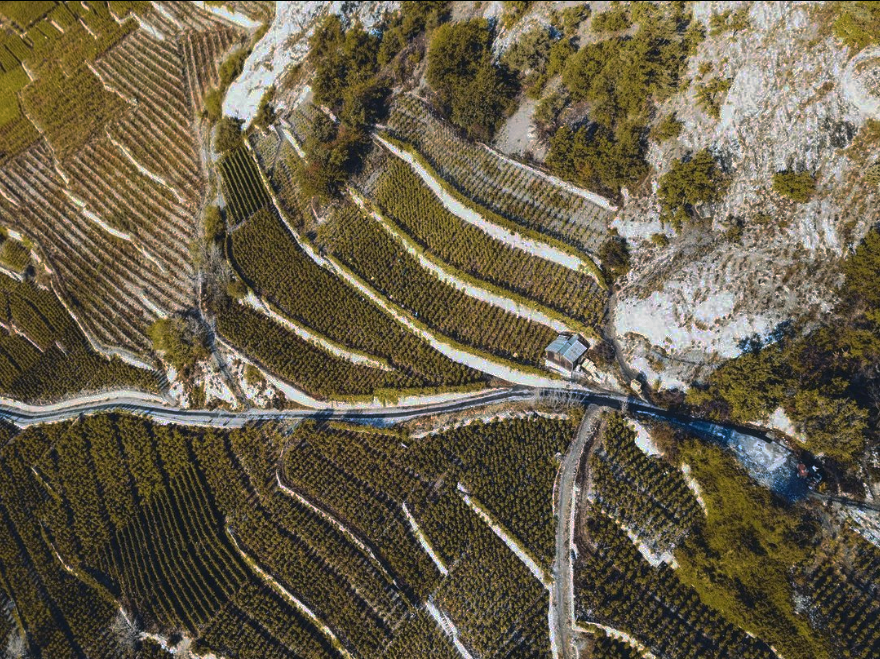 Lieu-dit “Moette” - Simon Maye - yvesbeck.wine