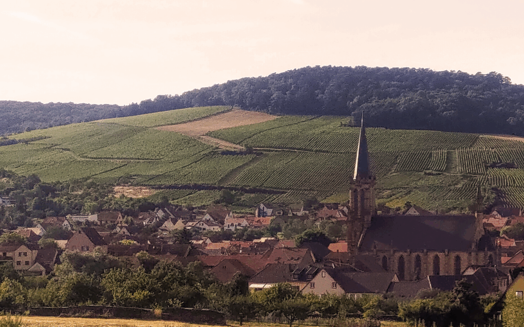 Sonderheft Elsass 2025 : 427 Weine beschrieben und bewertet