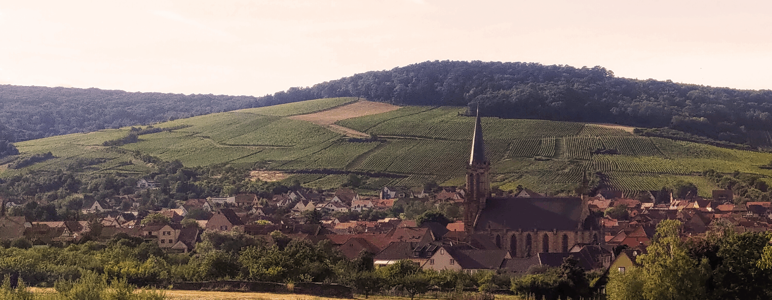 Spécial Alsace 2025 - yvesbeck.wine