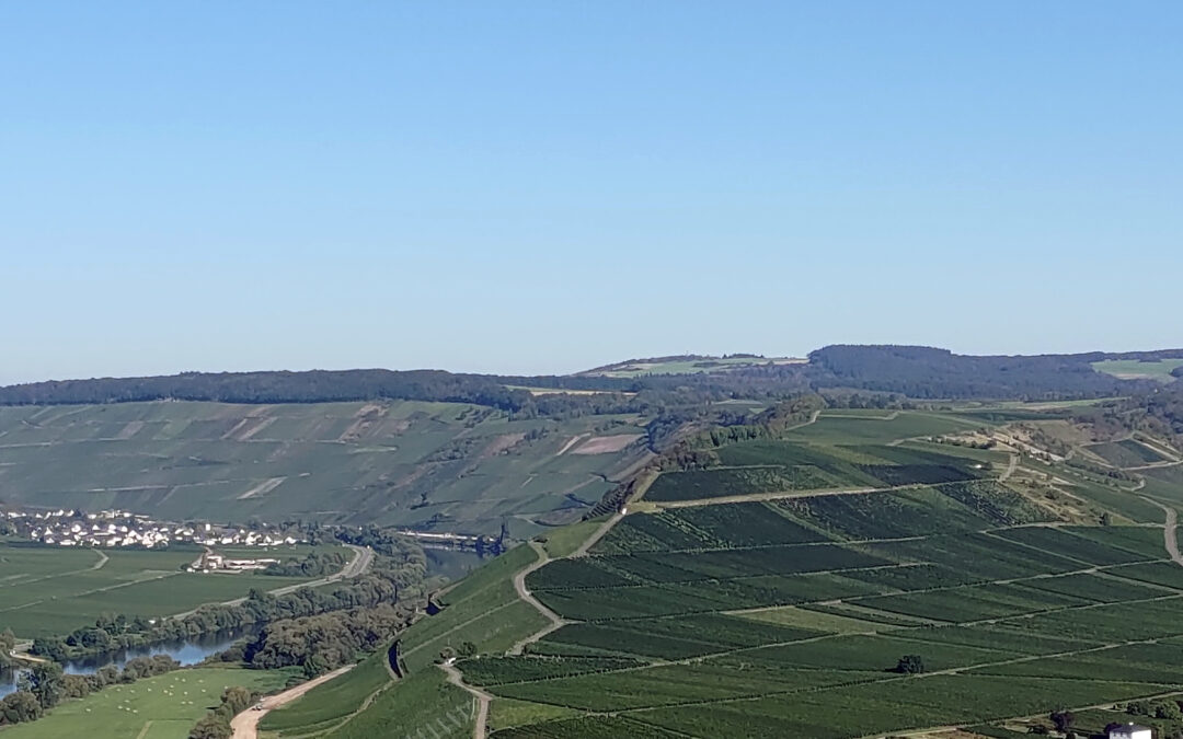 Deutschland Wein Tour 2025 – 629 Weine beschrieben und bewertet – yvesbeck.wine