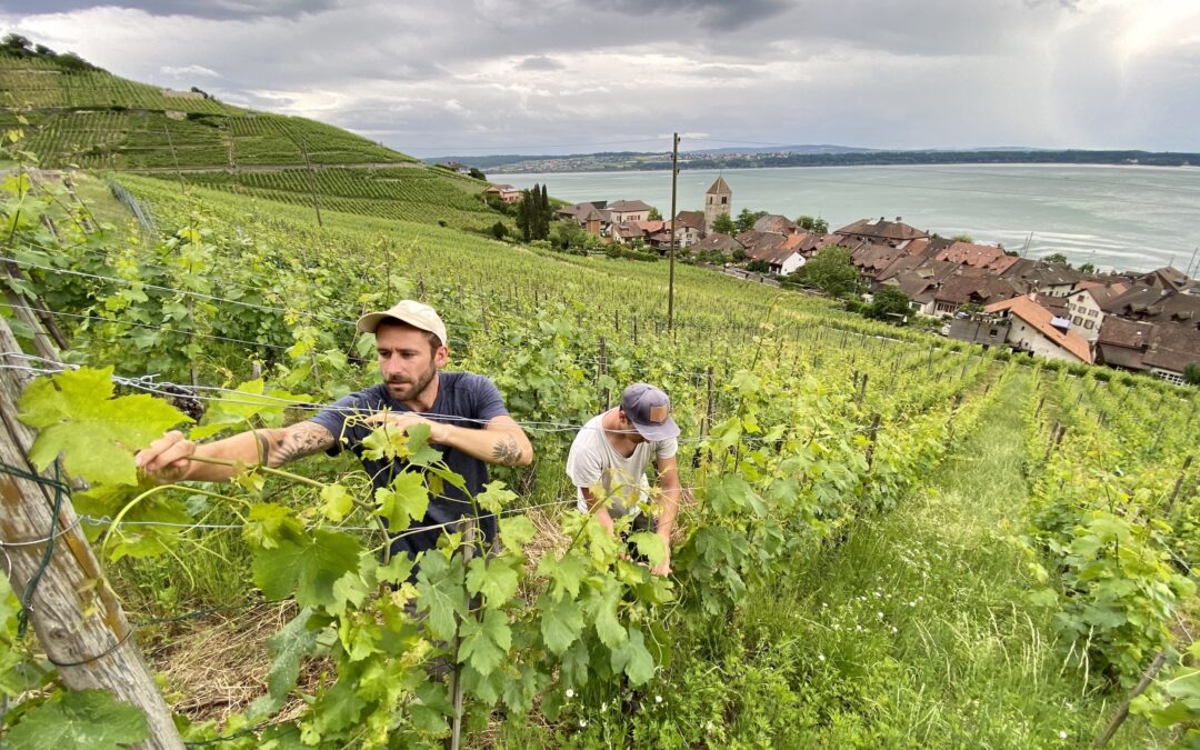 Bonnet du Fou – 4 Jahre und 63 Meter