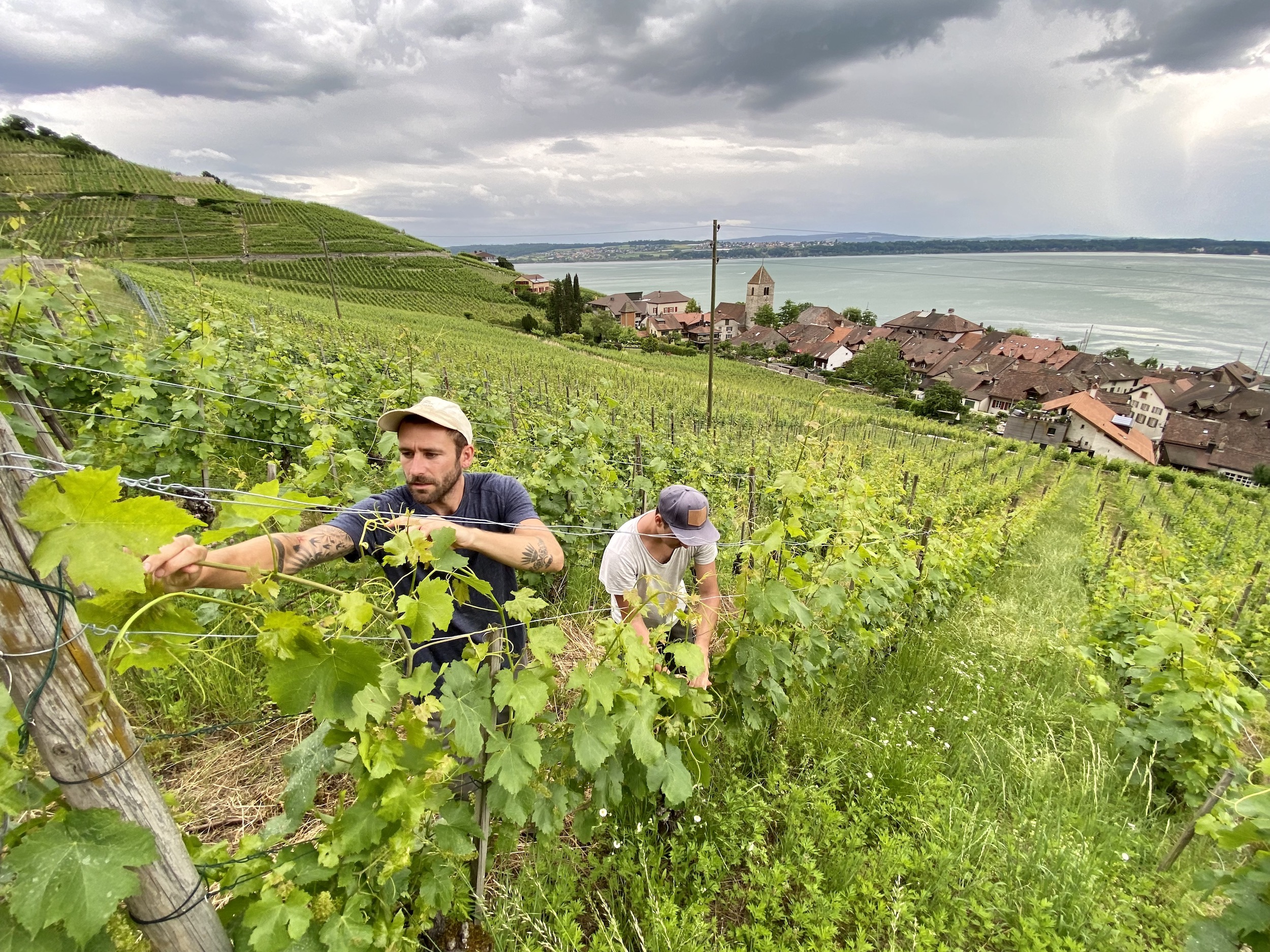 Bonnet du Fou - Twann - yvesbeck.wine