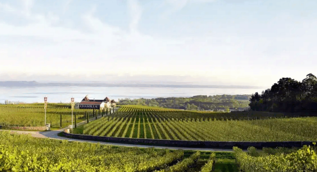 Domaine de Chambleau – Brillance ascendante