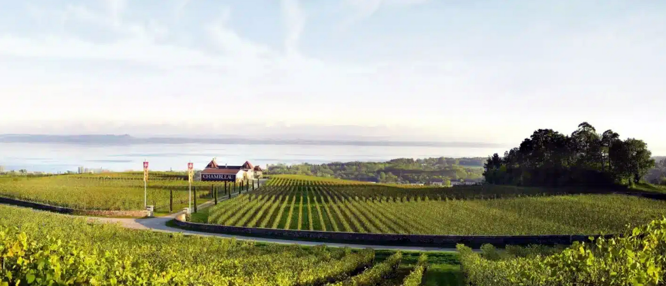 Domaine de Chambleau II - yvesbeck.wine - jvastudio
