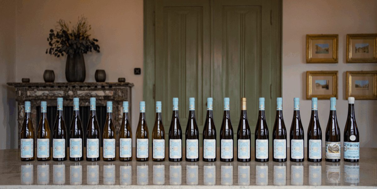 Portfolio_Weingut Robert Weil - yvesbeck.wine © Sandra Fehr
