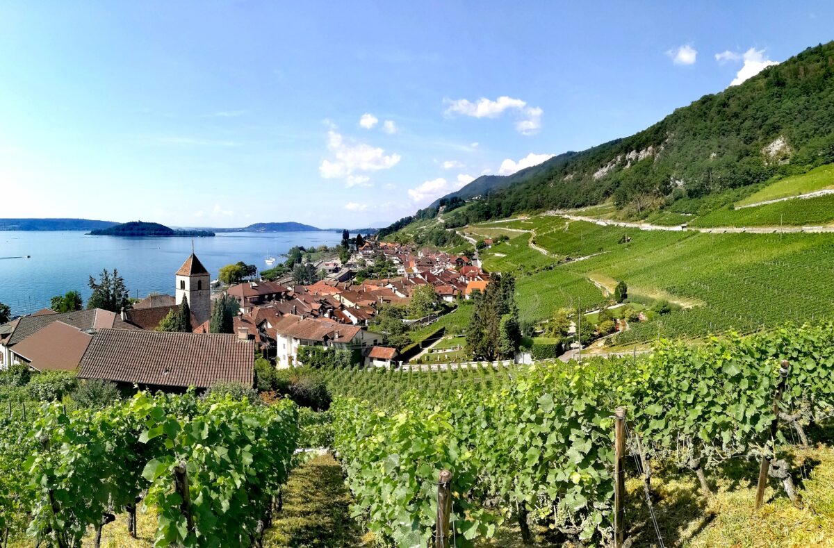 Bonnet du Fou - Twann - yvesbeck.wine