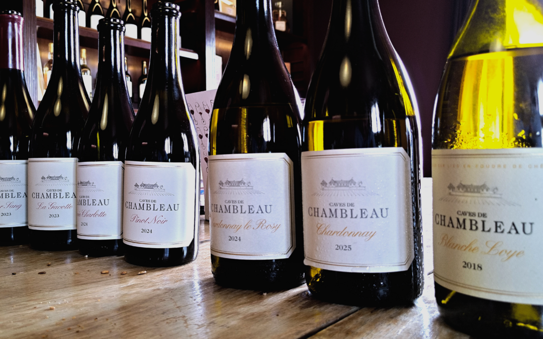 Domaine de Chambleau – Constance et Consolidation