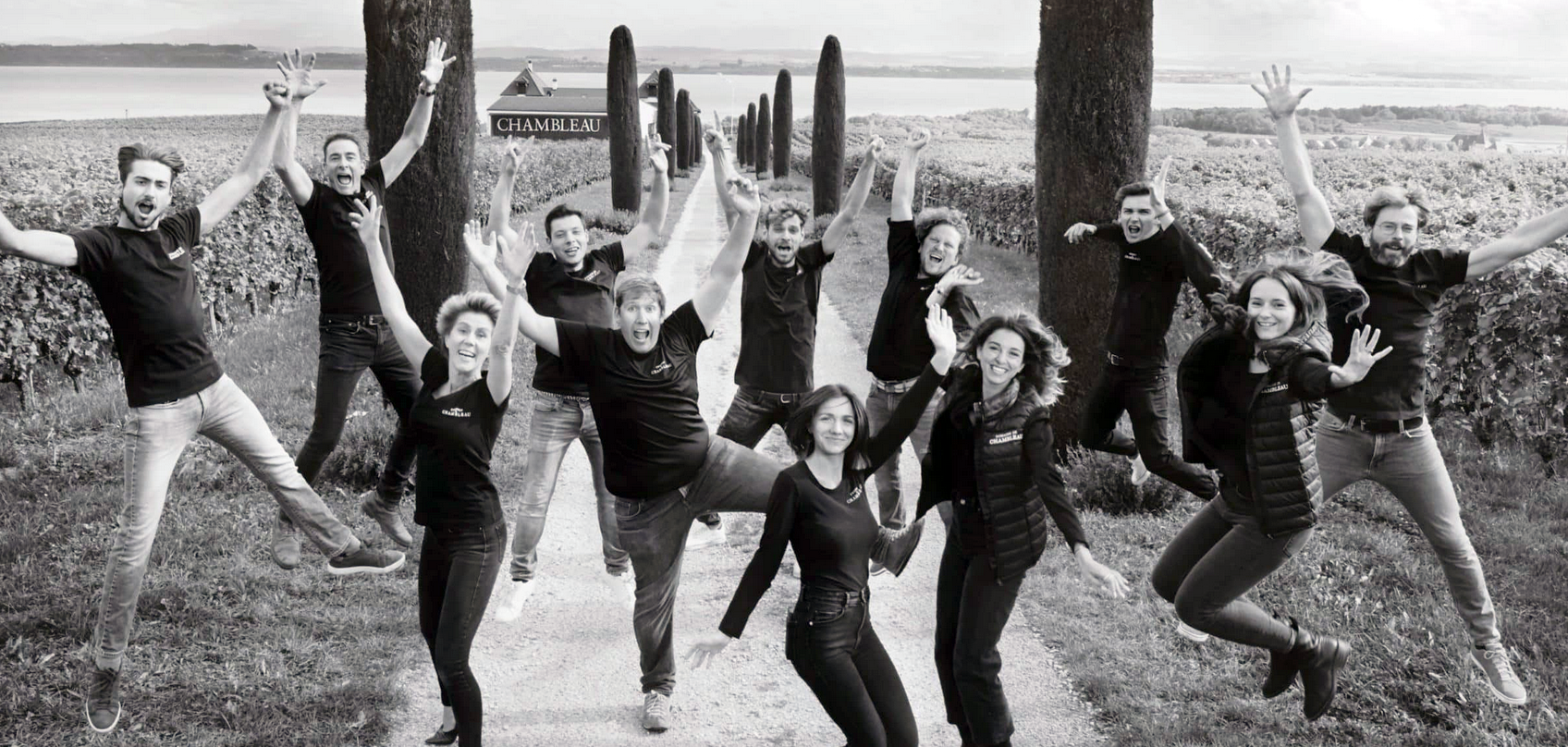 Domaine de Chambleau - yvesbeck.wine 2025 - © jvastudio