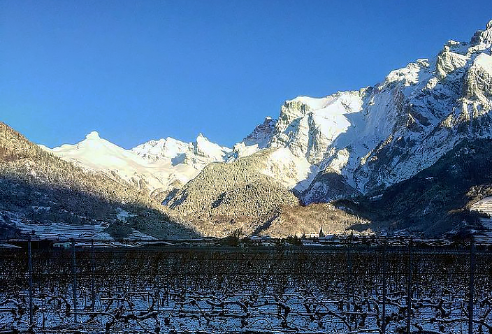 Lieu-dit Trémazieres - Domaine Simon Maye - yvesbeck.wine