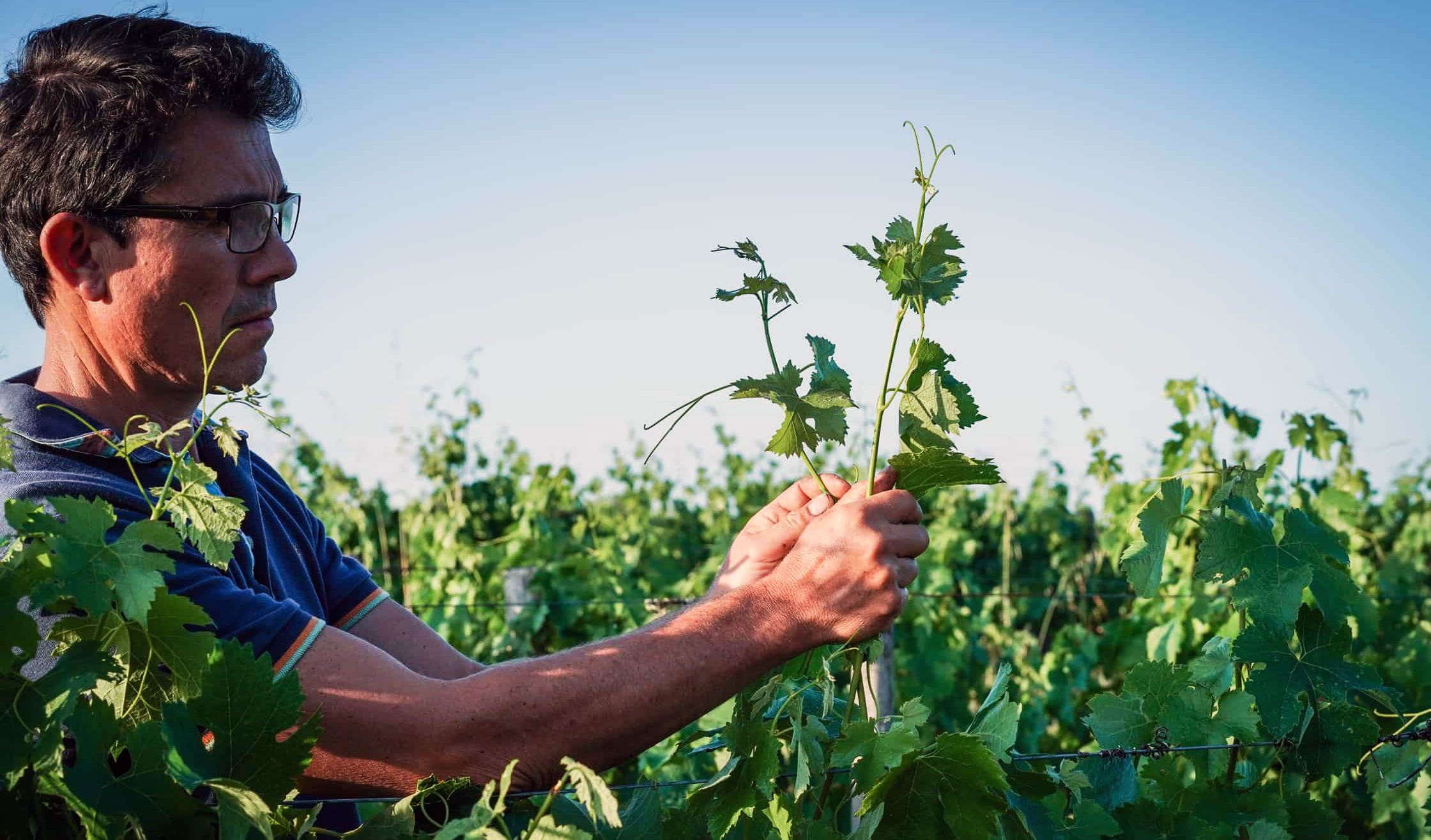 Château Haut-Goujon - Mikaël Garde - yvesbeck.wine