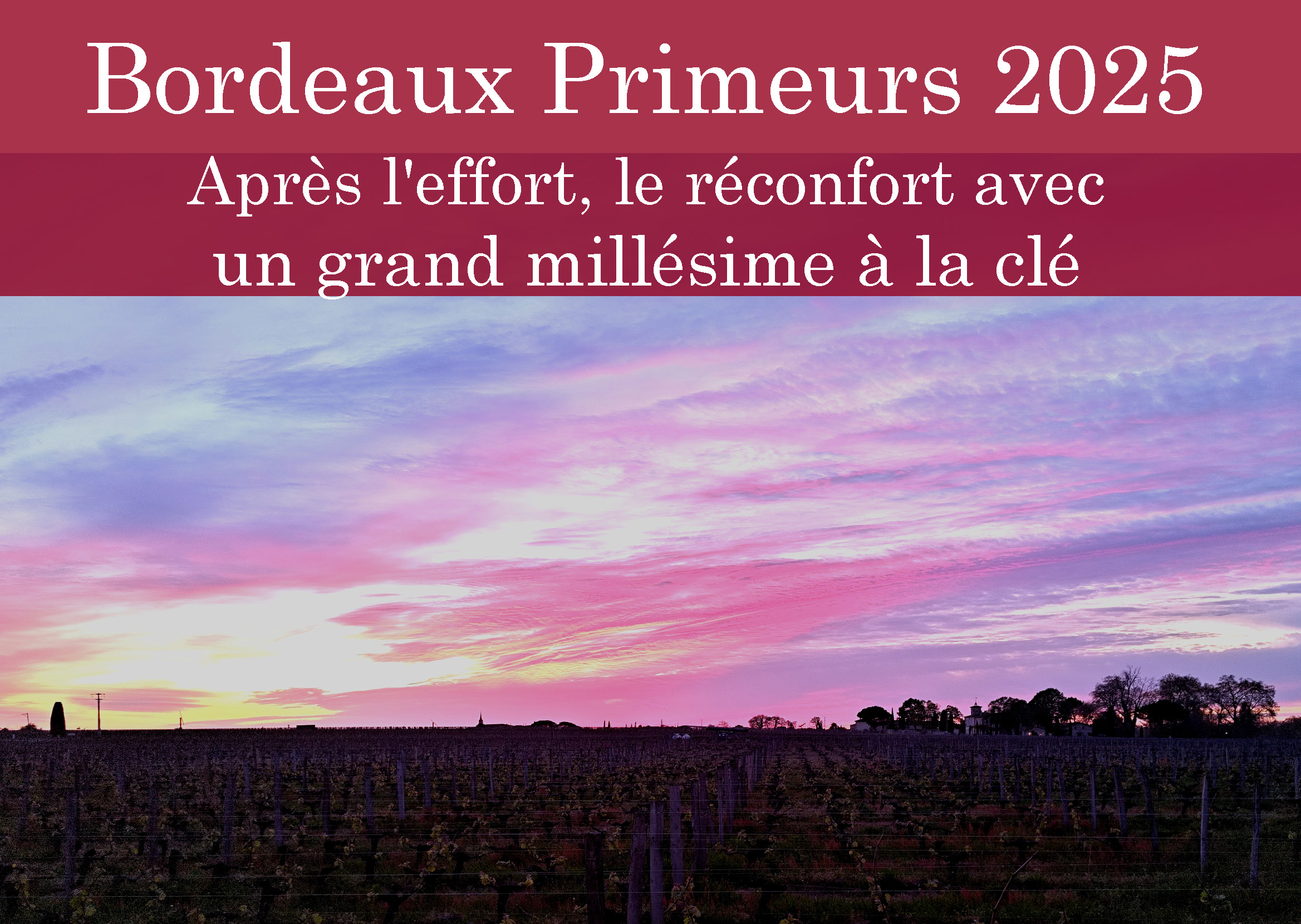 Bordeaux Primeurs 2025 - Yves Beck